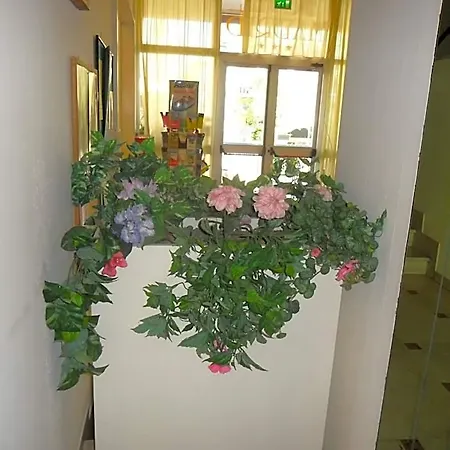 Madrid Hotel Rimini