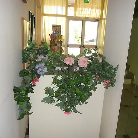 Madrid 3* Римини